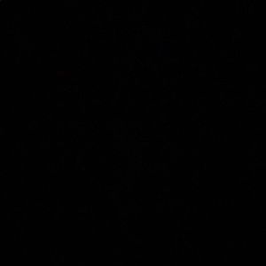 Meet your Posher, Elise